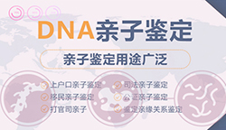 呼和浩特个人DNA亲子鉴定在哪个地方做，呼和浩特个人亲子鉴定需要怎么办理