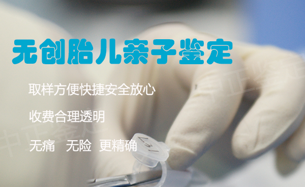 呼和浩特怀孕亲子鉴定如何收费, 呼和浩特怀孕亲子鉴定如何收费,