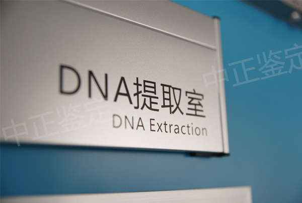 呼和浩特落户亲子鉴定需要的材料,呼和浩特落户口亲子鉴定办理条件 呼和浩特落户亲子鉴定需要的材料,呼和浩特落户口亲子鉴定办理条件